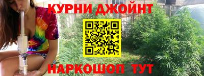прущие грибы Гусиноозёрск