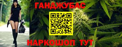 прущие грибы Гусиноозёрск