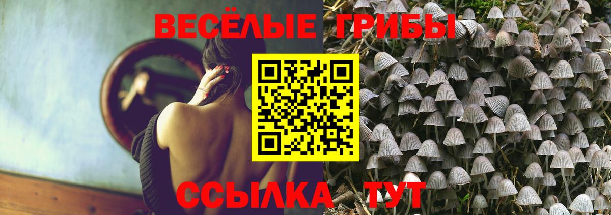 Мурманск  Галлюциногенные грибы GOLDEN TEACHER  Псилоцибиновые грибы прущие грибы  Вход с VPN 
